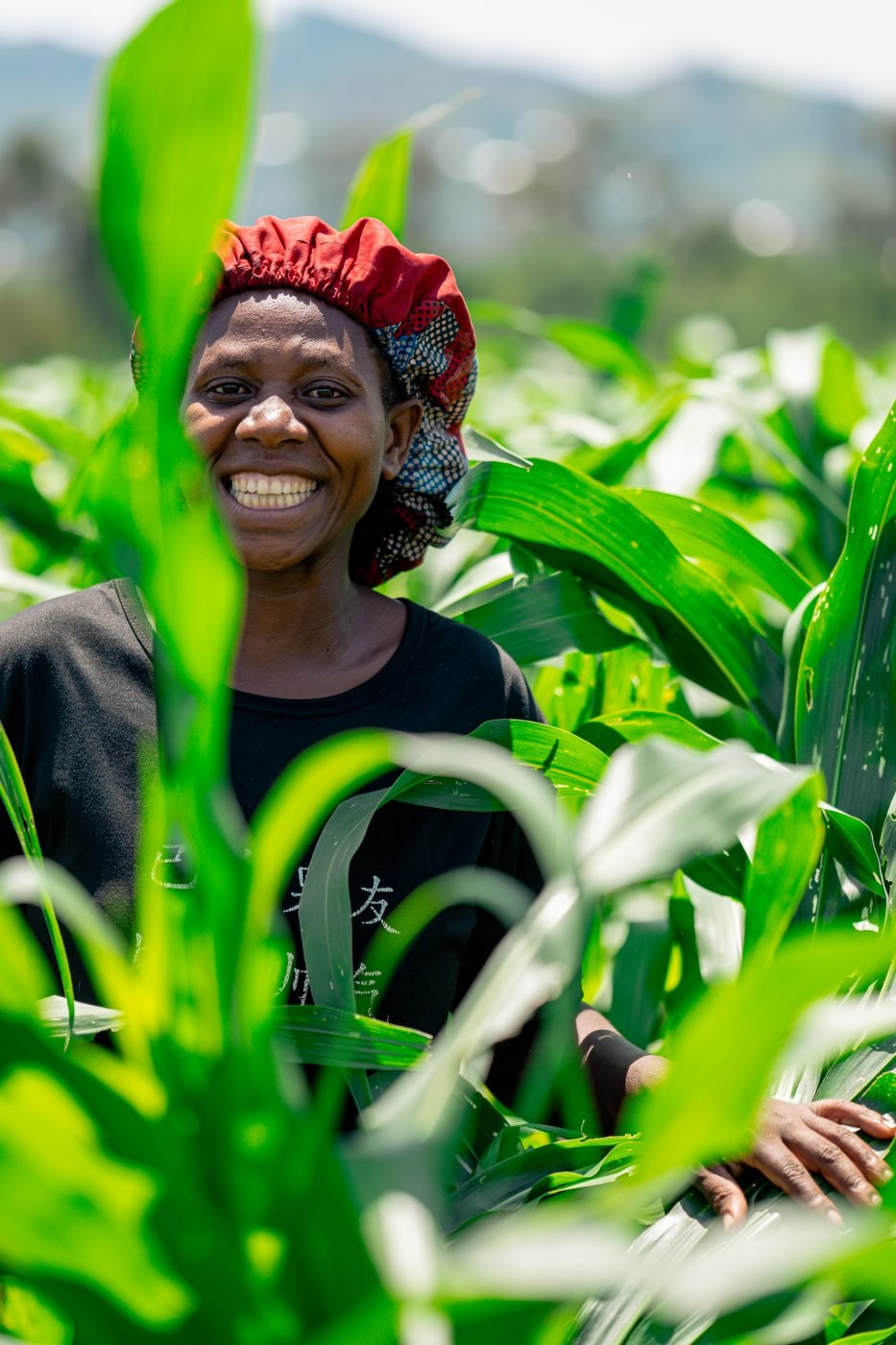 A smiling farmer standing in her maize crop