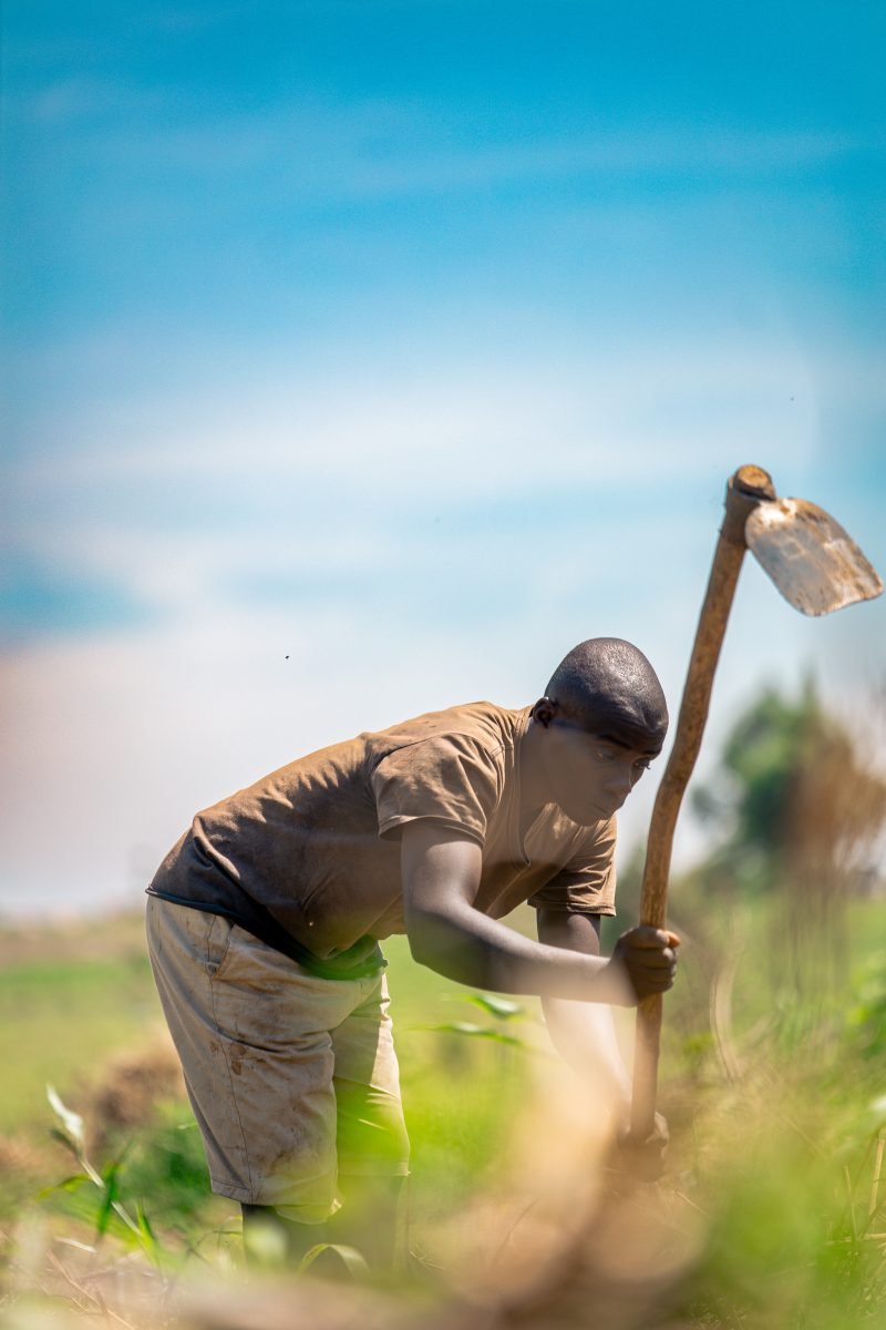Preparing the ground with a hoe in Rukungiri