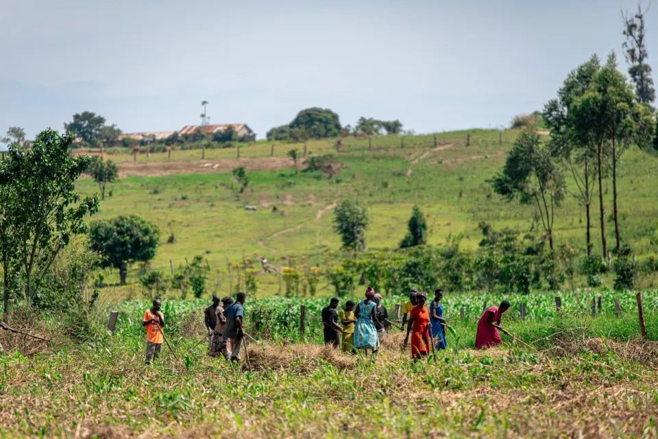 A group of people working a field together in Rukungiri