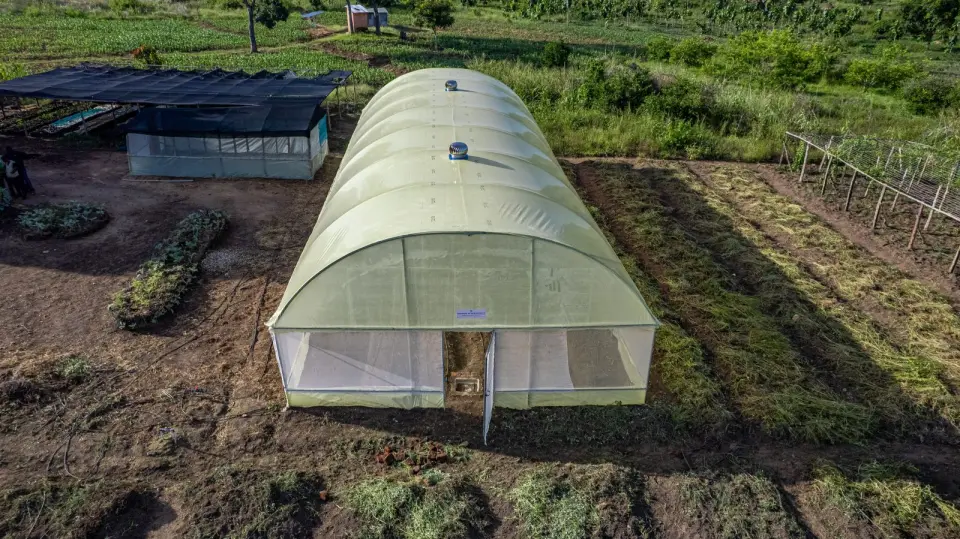 Aerial view of a greenhouse and farm plots in Yumbe, Uganda