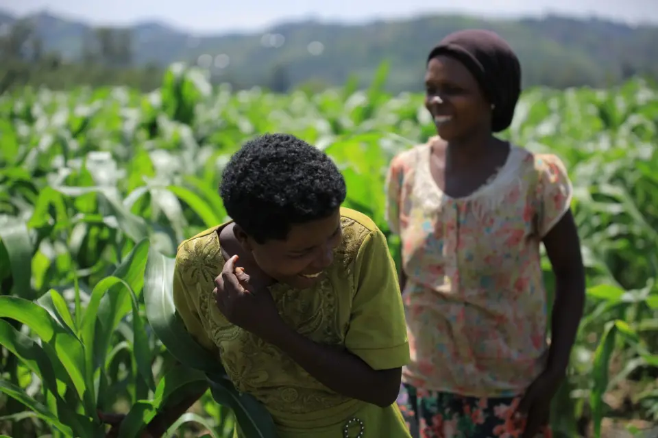 Two women laughing in a maize field at BetterLife Agro Tourism Farm