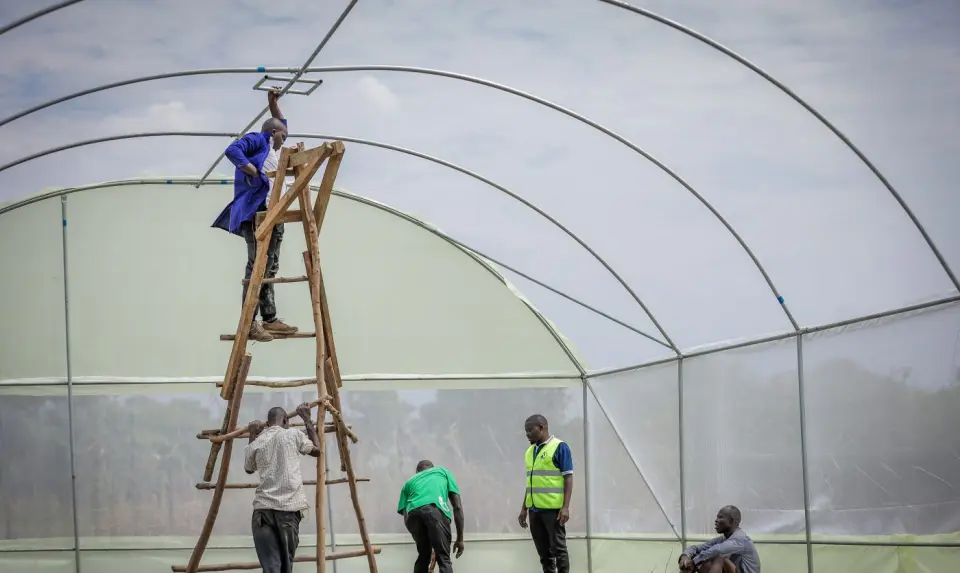 Building a greenhouse in Yumbe