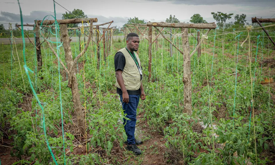A BetterLife team member in a trellised vegetable garden in Yumbe
