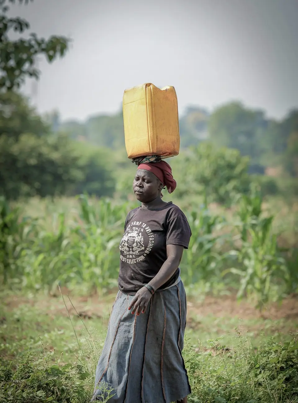 A woman carrying water past a maize field in Yumbe